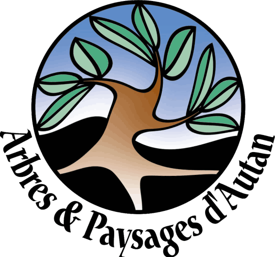 ARBRES ET PAYSAGES D'AUTAN